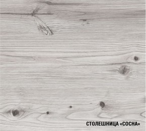 АСАЯ Кухонный гарнитур Экстра 2 (3000 мм) ПМ в Асбесте - asbest.ok-mebel.com | фото 8