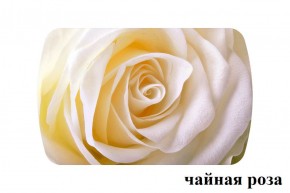 БОСТОН - 2 опоры Брифинг в Асбесте - asbest.ok-mebel.com | фото 13