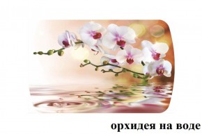 БОСТОН - 2 опоры Брифинг в Асбесте - asbest.ok-mebel.com | фото 4