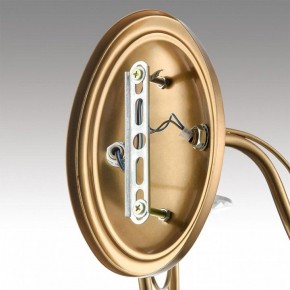 Бра Lumion INCANTO 8033/2W в Асбесте - asbest.ok-mebel.com | фото 8