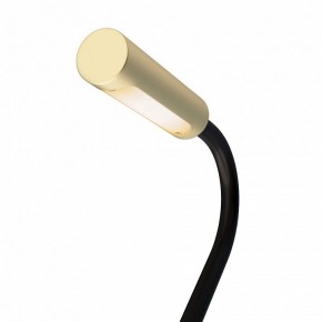 Бра Maytoni Stem C035WL-L3MG3K в Асбесте - asbest.ok-mebel.com | фото 6
