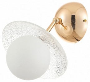 Бра Rivoli Jacqueline Б0066444 в Асбесте - asbest.ok-mebel.com | фото