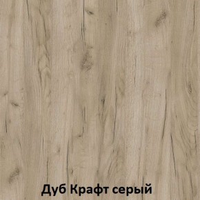 ДАРЬЯ Гостиная (Крафт серый/Крафт белый) в Асбесте - asbest.ok-mebel.com | фото 2