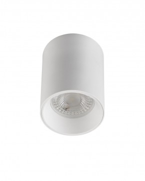 DK3110-WH Светильник накладной IP 20, 10 Вт, GU5.3, LED, белый, пластик в Асбесте - asbest.ok-mebel.com | фото