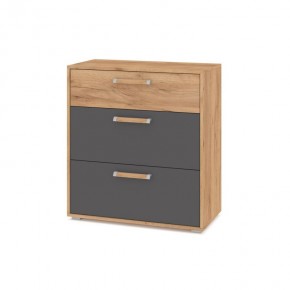 ФЛОРИДА Ф41 Комод (дуб золотой/графит) в Асбесте - asbest.ok-mebel.com | фото