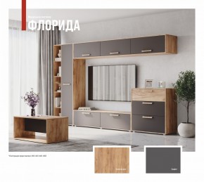 ФЛОРИДА Гостиная (модульная) дуб золотой/графит в Асбесте - asbest.ok-mebel.com | фото