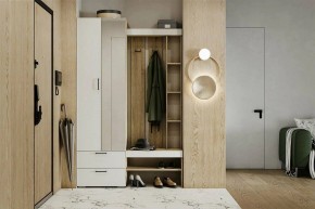 Гарнитур для прихожей Торонто в Асбесте - asbest.ok-mebel.com | фото 5