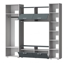 Гостиная Эмми (Анкор светлый/Графит) в Асбесте - asbest.ok-mebel.com | фото 3