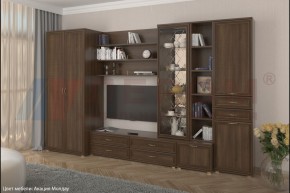 Гостиная Карина Композиция 11 (Акация Молдау) в Асбесте - asbest.ok-mebel.com | фото