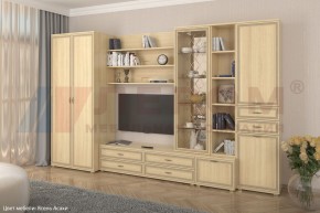 Гостиная Карина Композиция 11 (Ясень Асахи) в Асбесте - asbest.ok-mebel.com | фото