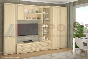 Гостиная Карина Композиция 16 (Ясень Асахи) в Асбесте - asbest.ok-mebel.com | фото 1