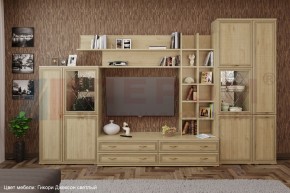 Гостиная Карина Композиция 5 (Гикори Джексон светлый) в Асбесте - asbest.ok-mebel.com | фото