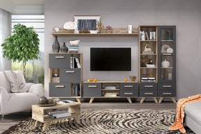 Гостиная Вега Скандинавия (комплект 6) в Асбесте - asbest.ok-mebel.com | фото 2