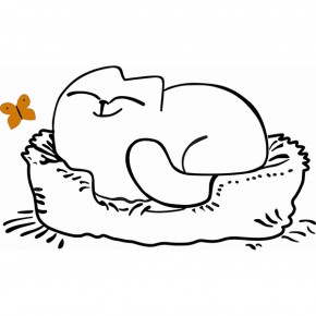 Кровать двухуровневая Кот № 900.1 ЛЕВАЯ (туя светлая/белый) в Асбесте - asbest.ok-mebel.com | фото 2