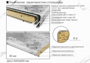 Кухонный фартук со столешницей (А-01) в едином стиле (3050 мм) в Асбесте - asbest.ok-mebel.com | фото 6