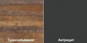 Кухонный гарнитур угловой Трансильвания 2400x1600 мм (Стол. 38 мм) Антрацит/Трансильвания в Асбесте - asbest.ok-mebel.com | фото 3