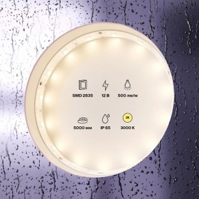 Лента светодиодная Maytoni Led strip 10105 в Асбесте - asbest.ok-mebel.com | фото 2