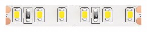 Лента светодиодная Maytoni Led strip 10146 в Асбесте - asbest.ok-mebel.com | фото