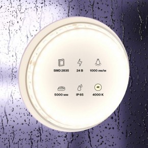 Лента светодиодная Maytoni Led strip 10146 в Асбесте - asbest.ok-mebel.com | фото 3