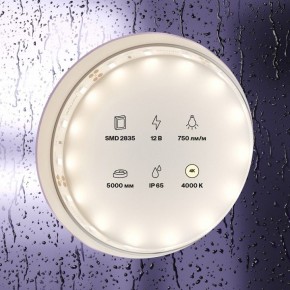 Лента светодиодная Maytoni Led strip 20005 в Асбесте - asbest.ok-mebel.com | фото 2