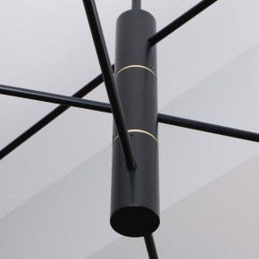 Люстра на штанге Favourite Imma 4375-6P в Асбесте - asbest.ok-mebel.com | фото 2