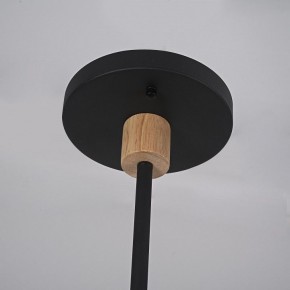 Люстра на штанге Imperiumloft TURNA Black TURNA-DBL01 в Асбесте - asbest.ok-mebel.com | фото 9
