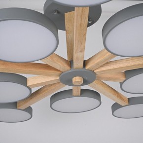 Люстра на штанге Imperiumloft TURNA Gray TURNA-B01 в Асбесте - asbest.ok-mebel.com | фото 10