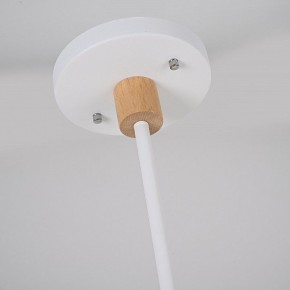 Люстра на штанге Imperiumloft TURNA White TURNA-DBL01 в Асбесте - asbest.ok-mebel.com | фото 11