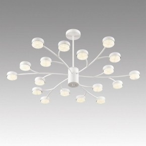 Люстра на штанге Lumion TORINA 8265/18 в Асбесте - asbest.ok-mebel.com | фото 5