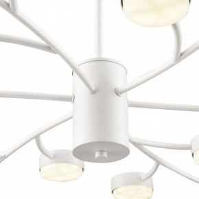 Люстра на штанге Lumion TORINA 8265/18 в Асбесте - asbest.ok-mebel.com | фото 8