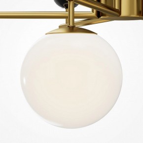 Люстра на штанге Maytoni Museo MOD436PL-07BS в Асбесте - asbest.ok-mebel.com | фото 4
