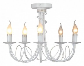Люстра на штанге Vitaluce V3035 V3035-0/5PL в Асбесте - asbest.ok-mebel.com | фото 2