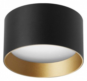 Накладной светильник Arlight BISCOTTO 055025 в Асбесте - asbest.ok-mebel.com | фото