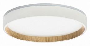 Накладной светильник Citilux Etalon CL750240 в Асбесте - asbest.ok-mebel.com | фото