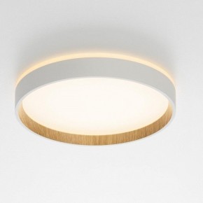 Накладной светильник Citilux Etalon CL750240 в Асбесте - asbest.ok-mebel.com | фото 12