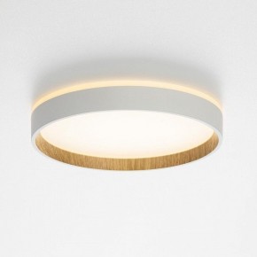 Накладной светильник Citilux Etalon CL750240 в Асбесте - asbest.ok-mebel.com | фото 4