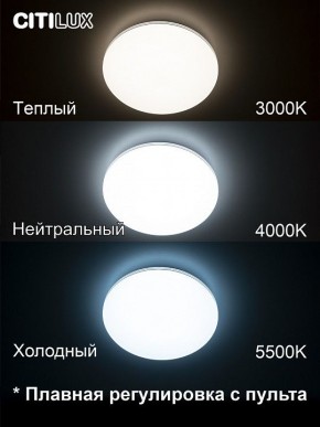 Накладной светильник Citilux Симпла CL714330G в Асбесте - asbest.ok-mebel.com | фото 4
