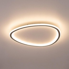 Накладной светильник Citilux ТRIO CL215B251E в Асбесте - asbest.ok-mebel.com | фото 9