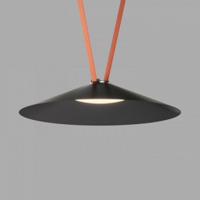 Накладной светильник Denkirs Belty Flow DK5569-BK в Асбесте - asbest.ok-mebel.com | фото