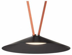 Накладной светильник Denkirs Belty Flow DK5569-BK в Асбесте - asbest.ok-mebel.com | фото 2