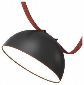 Накладной светильник Denkirs Belty Flow DK5660-BK в Асбесте - asbest.ok-mebel.com | фото