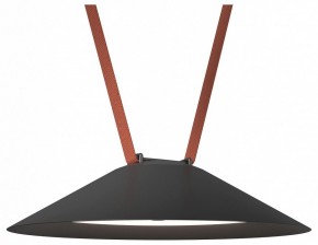 Накладной светильник Denkirs Belty Flow DK5664-BK в Асбесте - asbest.ok-mebel.com | фото