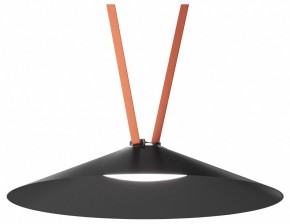 Накладной светильник Denkirs Belty Flow DK5668-BK в Асбесте - asbest.ok-mebel.com | фото