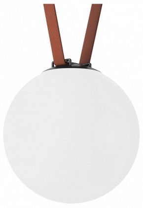 Накладной светильник Denkirs Belty Orb DK5554-BK в Асбесте - asbest.ok-mebel.com | фото