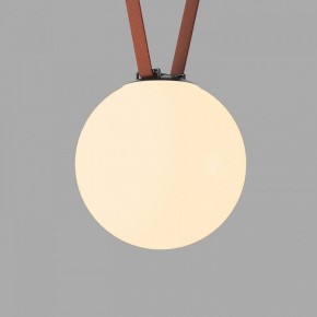 Накладной светильник Denkirs Belty Orb DK5555-BK в Асбесте - asbest.ok-mebel.com | фото 2