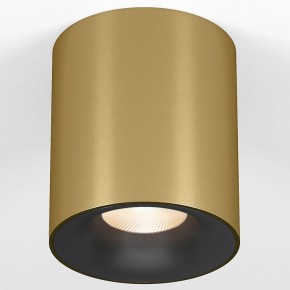 Накладной светильник Elektrostandard Primo 25116/LED в Асбесте - asbest.ok-mebel.com | фото