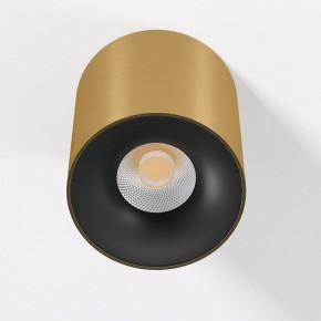 Накладной светильник Elektrostandard Primo 25116/LED в Асбесте - asbest.ok-mebel.com | фото