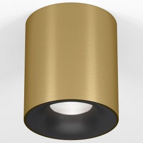 Накладной светильник Elektrostandard Primo 25116/LED в Асбесте - asbest.ok-mebel.com | фото 2