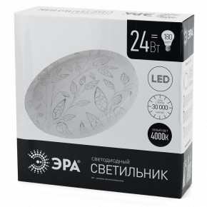 Накладной светильник Эра Классик SPB-6-24-4K (C) в Асбесте - asbest.ok-mebel.com | фото 4