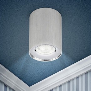 Накладной светильник Эра  OL1 GU10 SL/CH в Асбесте - asbest.ok-mebel.com | фото 3